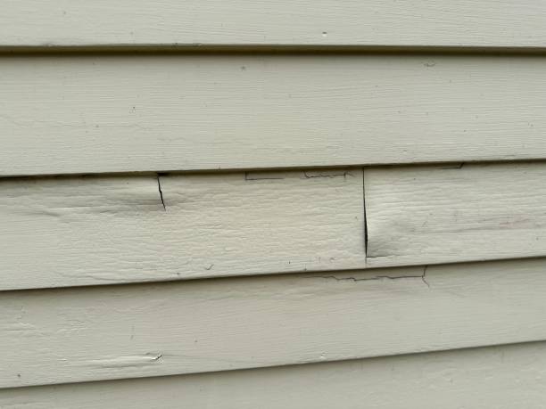 Best Stucco Siding  in Seymour, TX